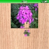 play Phlox