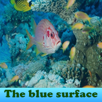 play The Blue Surface