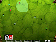 play Beetles Grouping