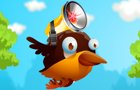 play Smart Birds