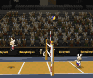 Bunnylimpic Volleyball 20