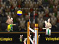 2012 Bunnylimpic Volleyball