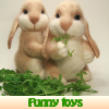 play Funny Toys. Find Objects