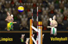 2012 Bunnylimpics Volleyb