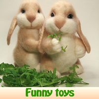 play Funny Toys. Find Objects