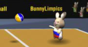 Bunnylimpics Volleyball