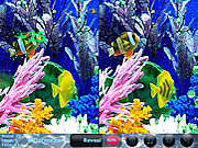 play River Bottom 5 Differences