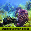 play Underwater Reefs