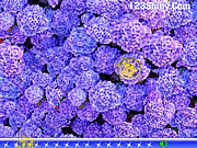 play Hidden Stars Flowers