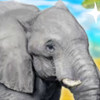 play Clever Elephant