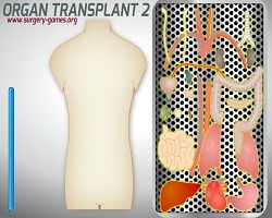 play Organ Transplant 2