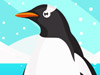 play Penguin Care