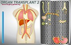 play Organ Transplant 2