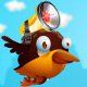 play Smart Birds