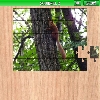 play Squirrel 2