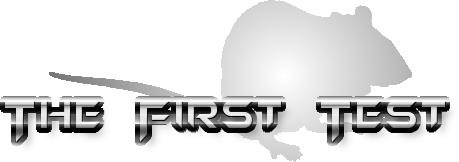 play First Test