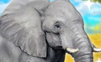 play Clever Elephant