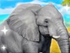 play Clever Elephant