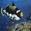 play Alone Clown Fish Slide Puzzle