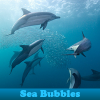 play Sea Bubbles 5 Differences