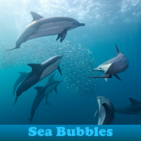 play Sea Bubbles 5 Differences