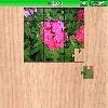 play Phlox 2