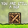 You Are Still A Box