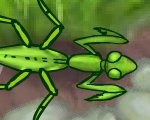 play Smart Mantis