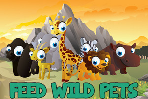 play Feed Wild Pets