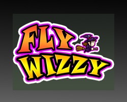 play Fly Wizzy