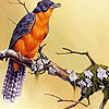 play Leaves And Bird Puzzle