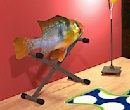 play Fishy Escape