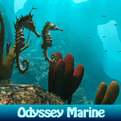 play Odyssey Marine