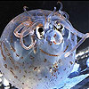play Chubby Fish Slide Puzzle