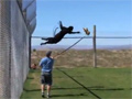 play Puma Parkour Video Free Download, Online Free Funny Clips