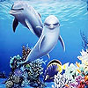 play Sea And Dolphins Puzzle