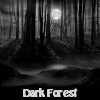 play Dark Forest. Find Objects
