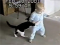 play Baby Fight Vs Cat Video Free Download, Online Free Funny Clips
