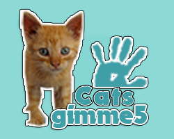play Gimme5 - Cats