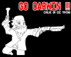 play Go Darwin