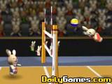 play Bunnylimpincs Volleyball