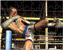 play Mma Fighting Jigsaw