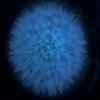 play Dandelion Slider