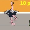 play Ostrich Race