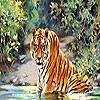 play Cat In The Lake Puzzle