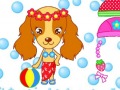 play Dog On The Beach