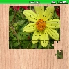 play Dahlia 2