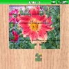 play Dahlia 3