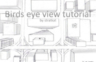 play Birds Eye View Tutorial