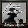 play Private Investigator - Hidden Objects